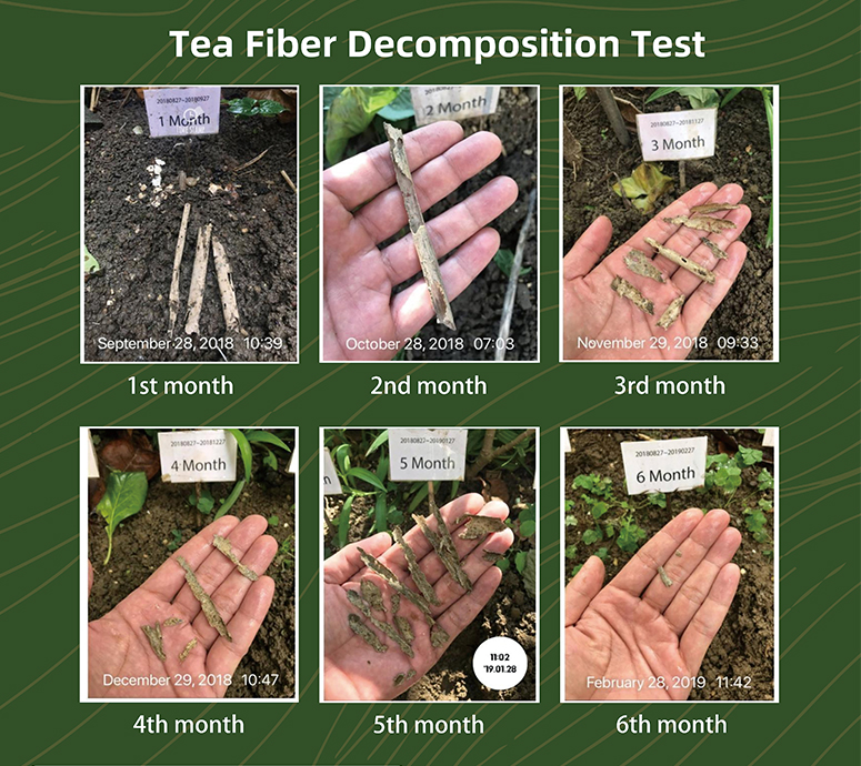 Tehnologia Buletedan