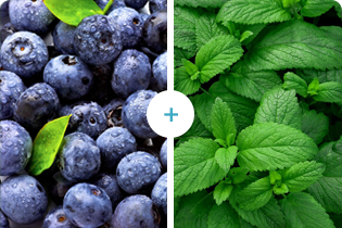 Tehnologia Buletedan