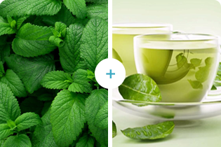 Tehnologia Buletedan