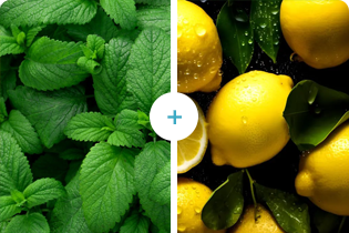 Tehnologia Buletedan