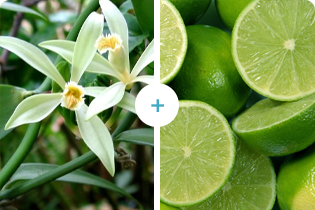 Tehnologia Buletedan