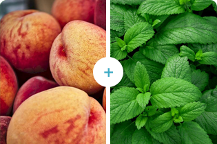 Tehnologia Buletedan