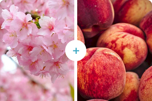 Tehnologia Buletedan